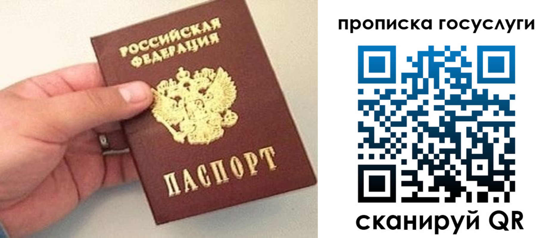 где прописаться в Богородске